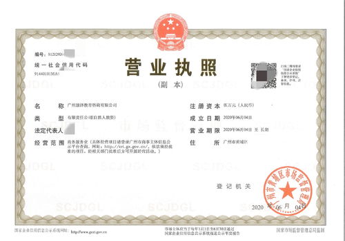 广州黄埔区教育咨询公司注册代办 委托专业团队，高效当天下证